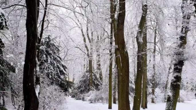 步行穿过白雪皑皑的城市公园