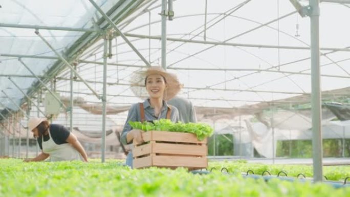 亚洲美女农民在蔬菜水培绿色农场工作。迷人的女农业工作者拿着一篮子沙拉，带着幸福走在温室里。农业经营理