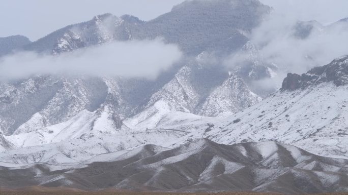 雪山飘云才