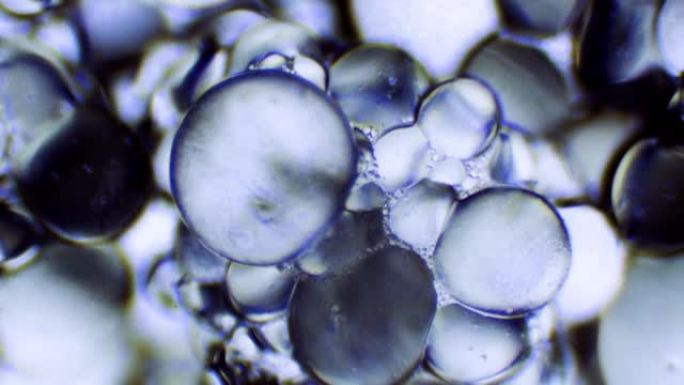 盐晶体钠聚合物离子颗粒在显微镜下与水反应3发