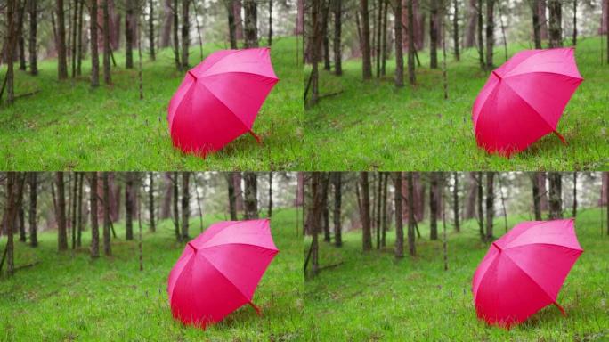 森林里雨天的红伞。森林里的雨。