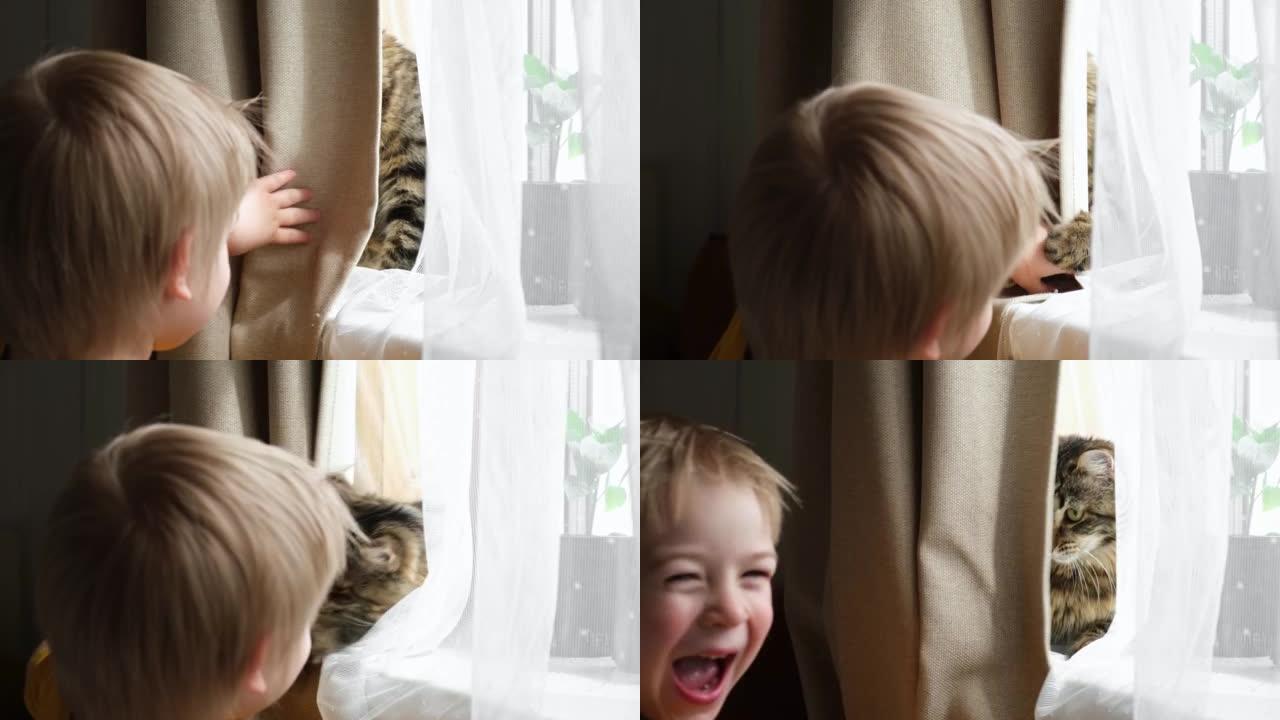 小猫在和一个小男孩的游戏中咬伤和抓伤。小猫的利爪和孩子的手。可爱的虎斑猫坐在窗台上，和孩子一起玩。蓬