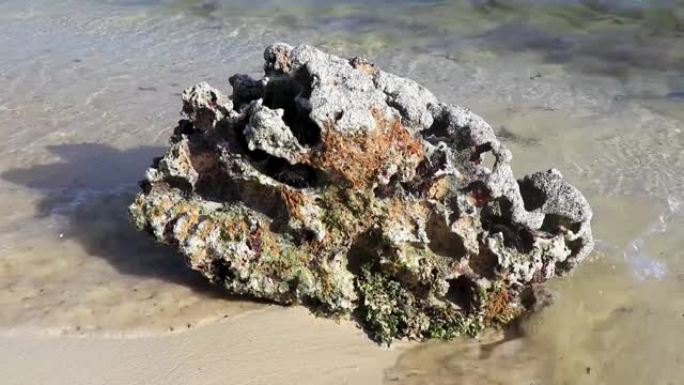 石头在墨西哥海滩上岩石珊瑚绿松石绿蓝的水。