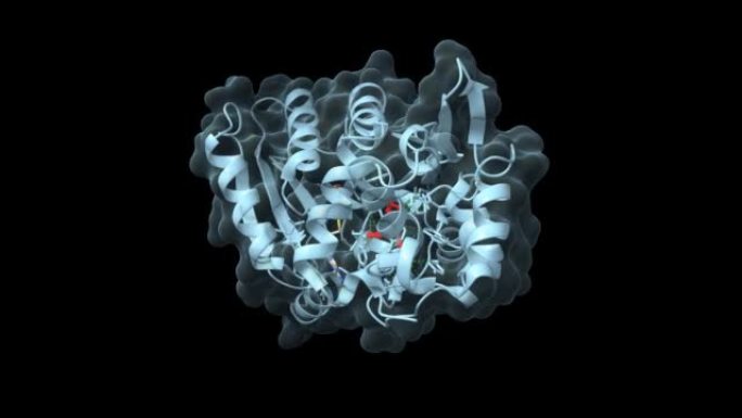 组胺甲基转移酶与抗组胺药苯海拉明 (红) 复合