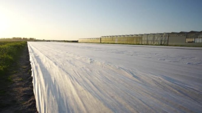 荷兰的温室农业园区科技大棚现代农业