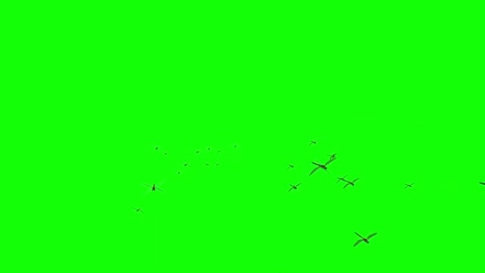 成群的蜻蜓在绿色屏幕上飞翔