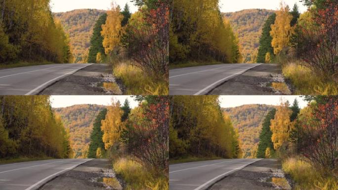 秋天阳光明媚的日子。山地景观。树上的黄色叶子。空旷的郊区高速公路