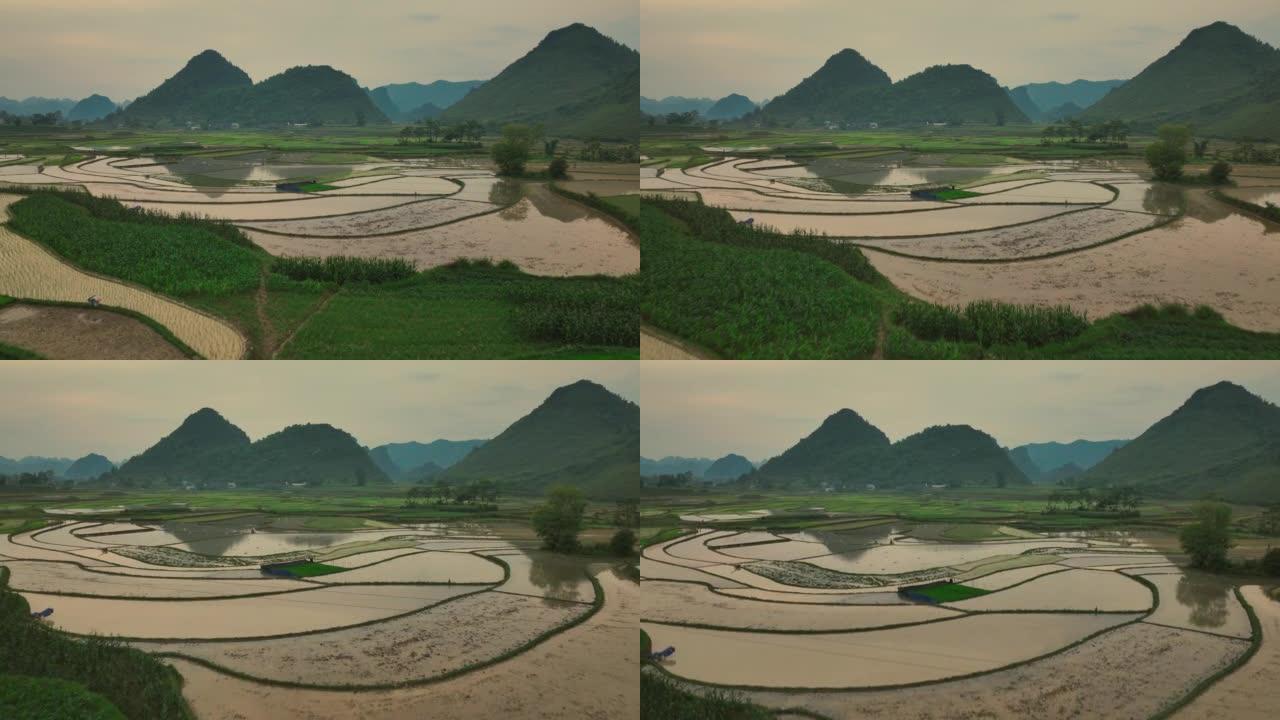 越南曹邦Trung Khanh区Phong Nam的稻田和千山奇形山的空中无人机视图