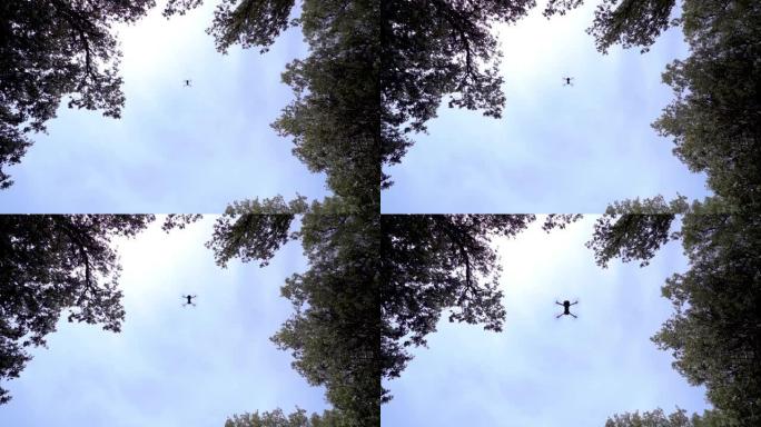 无人机下降到地面并在树木的树枝之间经过