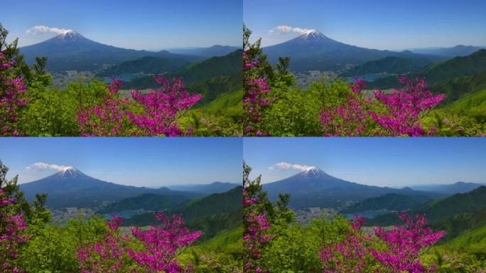 从新鲜的绿色黑达克天文台看到的富士山