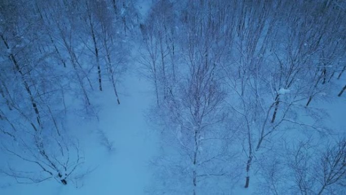 雪林鸟瞰图北国风光鸟瞰景色