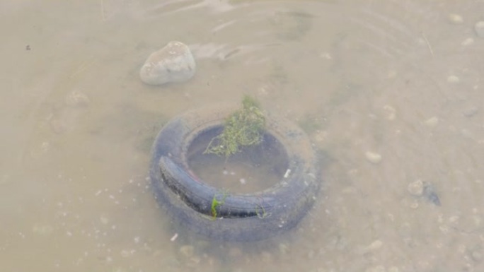 破旧的汽车轮胎躺在浅水的池塘里，在水坑里。轮胎中的橡胶位于水库中。
