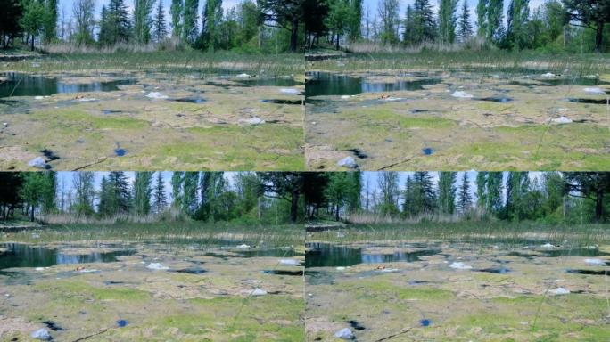 水和食物的环境污染