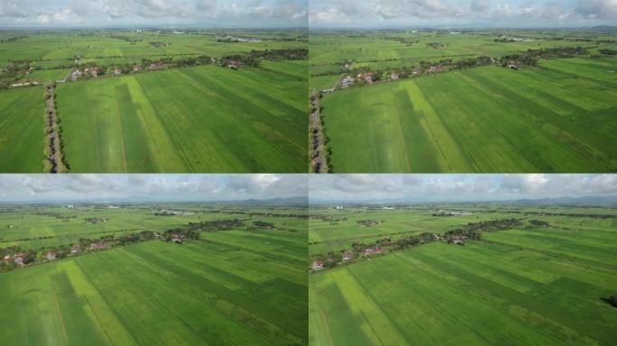 马来西亚吉打和玻璃市的稻田