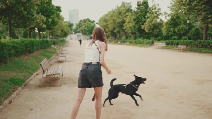 快乐的黑狗追球。这个女孩和她的宠物在公园散步和玩耍