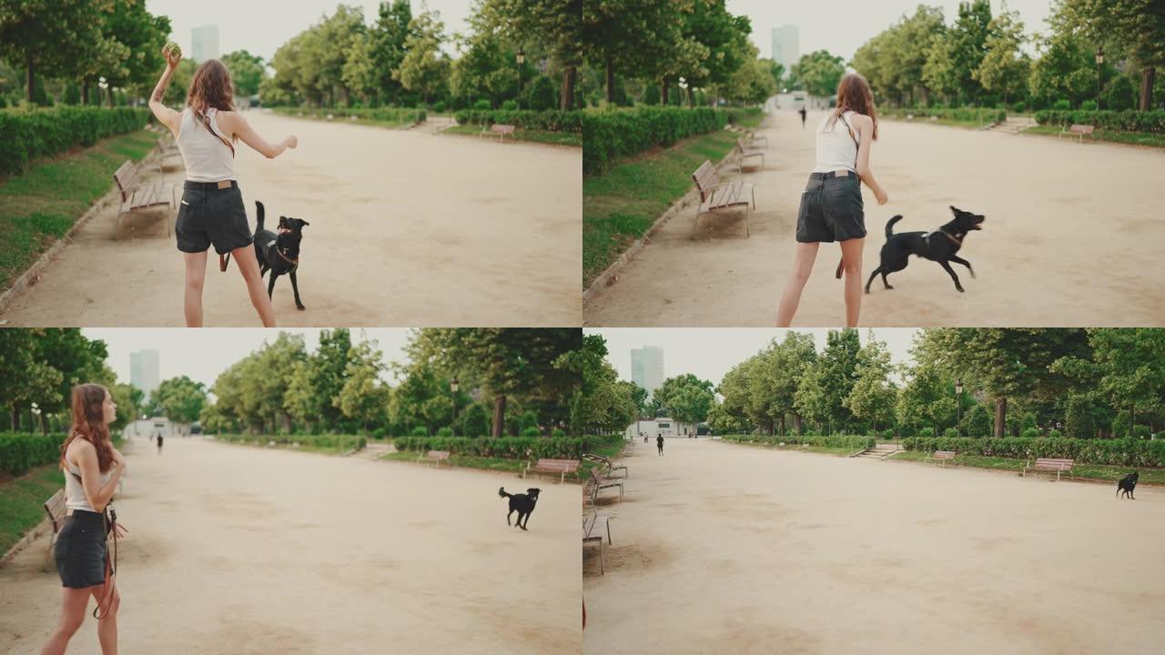 快乐的黑狗追球。这个女孩和她的宠物在公园散步和玩耍