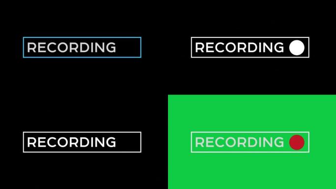 闪烁红色记录按钮，电视干扰视频隔离阿尔法哑光和绿色背景