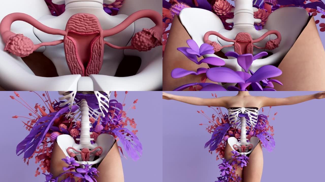 女性生殖系统与子宫，子宫颈，卵巢，输卵管的医学插图。人体解剖学。
