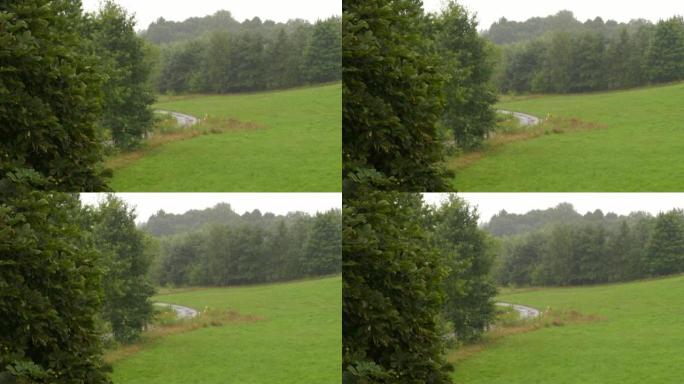 雨水落在绿色植物的叶子上。平静放松的冥想平静的背景。秋天有雨的天气。森林和农田背景下的大雨。夏雨。淋