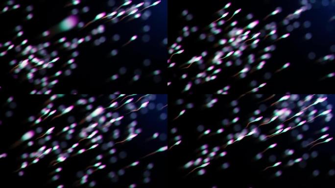 彩色精子细胞在深蓝色背景下游动无缝循环CG动画。4K 3D渲染生物科学抽象背景精子的医学插图。