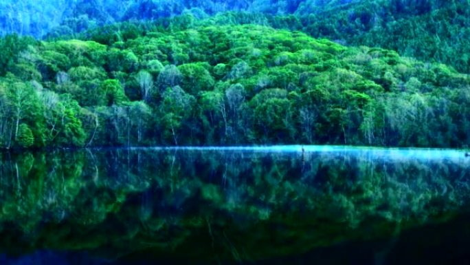 森林湖中的海浪。干净的森林湖泊和海浪的图像。双重曝光