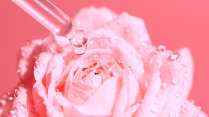 粉红色血清液的慢动作，滴管落在玫瑰花上的水滴