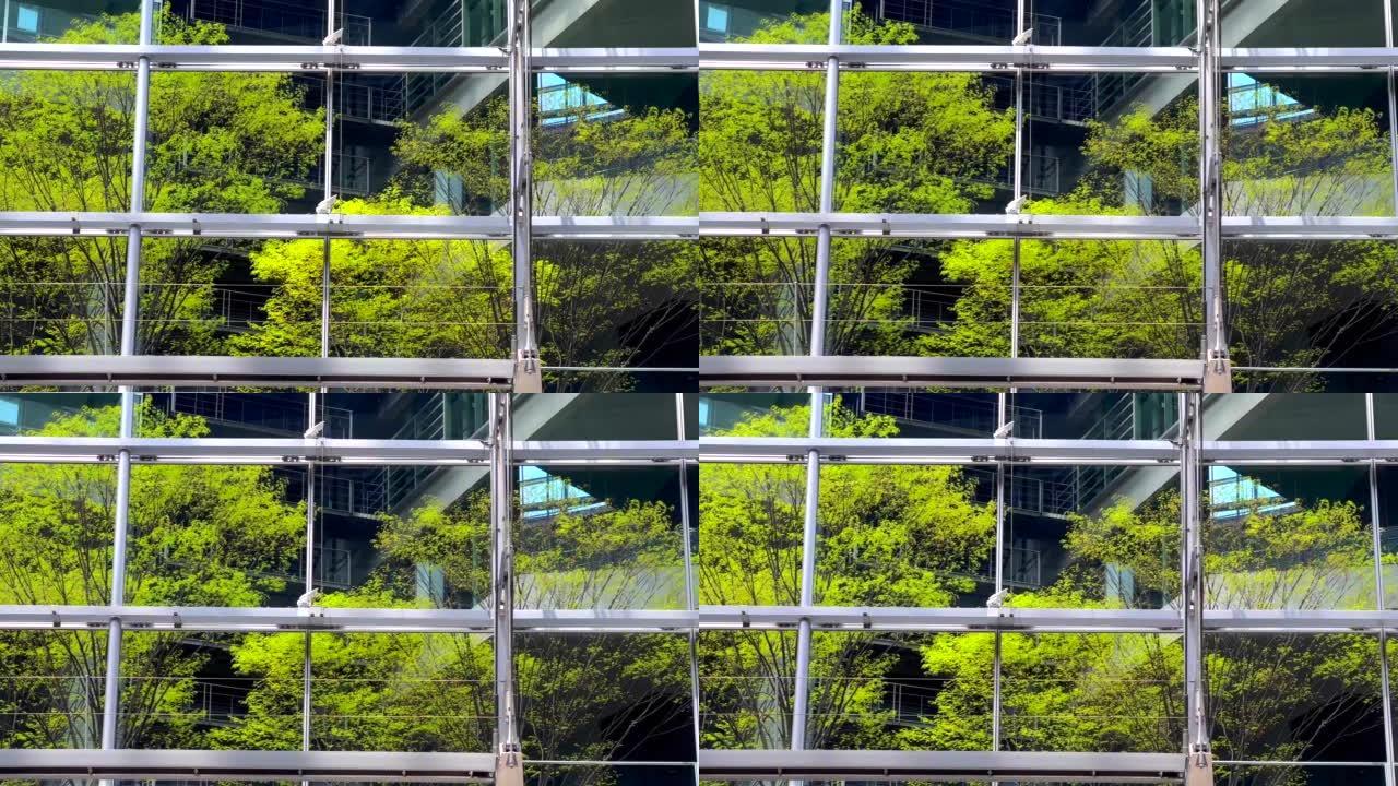 现代办公楼和新绿树