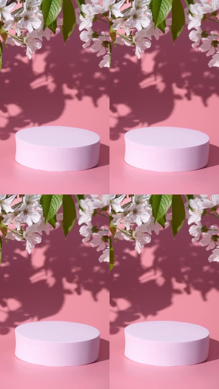粉色裙楼和樱花开花，树叶阴影，产品设计模型