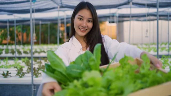 新一代年轻的亚洲女商人拿着木箱，里面放着水培蔬菜有机沙拉，同时在大型农场工作，商业种植的有机农业经营