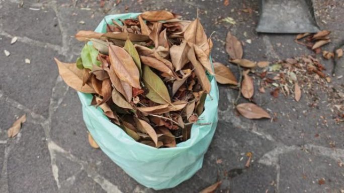 树叶生态收集袋