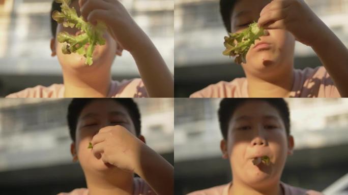 亚洲男孩在泰国华欣的露天街头美食餐厅与家人共进早餐时吃蔬菜叶。