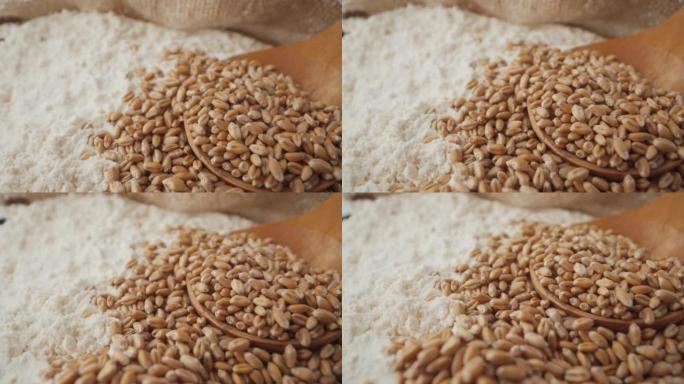 小麦谷物和白面粉宏观
