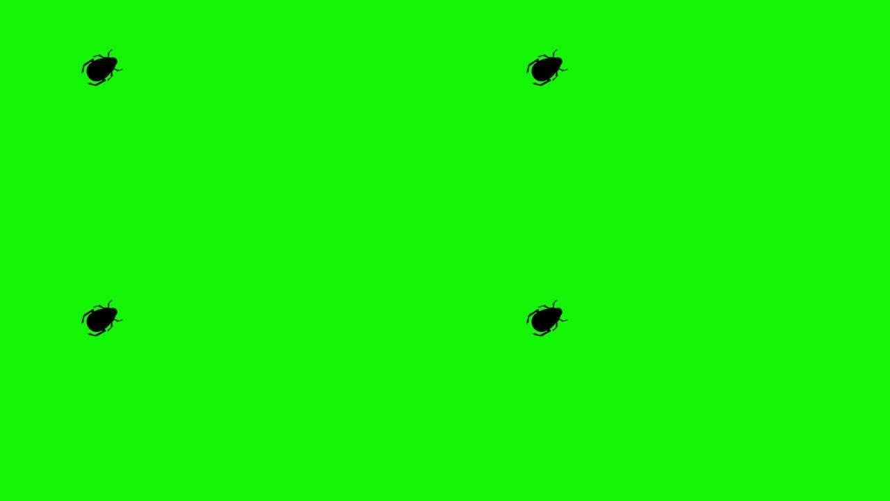 绿屏色度键上的Bug行走动画