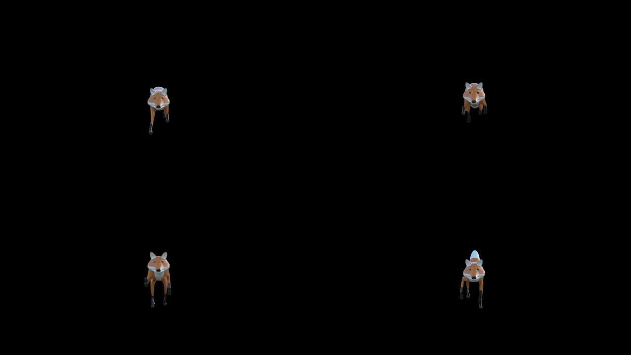 狐狸奔跑