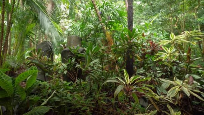 在雨林或丛林的中央有一个隐藏的和隐蔽的岩层。寻宝或考古遗址的概念。