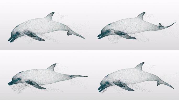动画粒子海豚漂浮物。