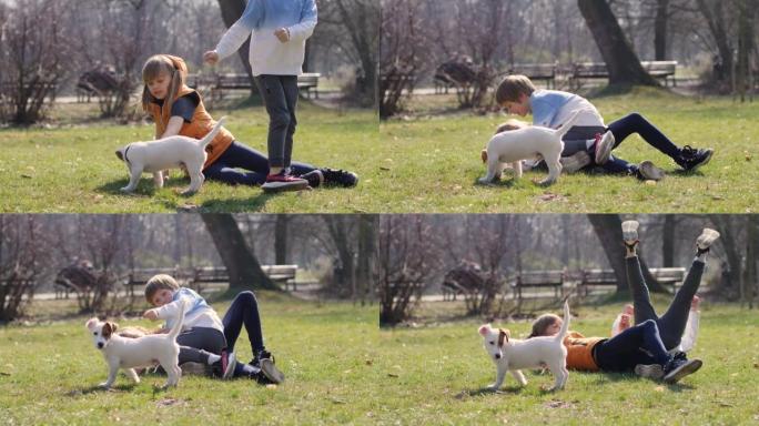 快乐的兄妹孩子们在公园草地上摔倒在一起，而男孩和女孩玩得开心，和小宠物狗一起玩