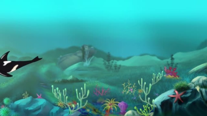 虎鲸水下4k动画