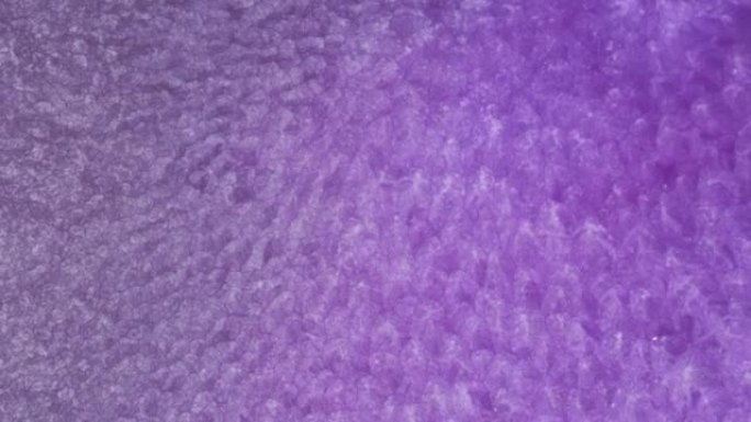 抽象紫色流体背景