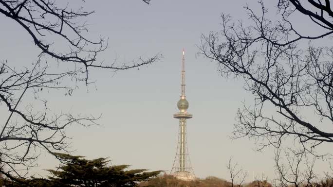 青岛电视塔远景