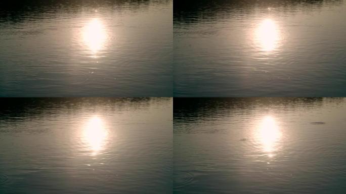 低角度: 日落时的湖