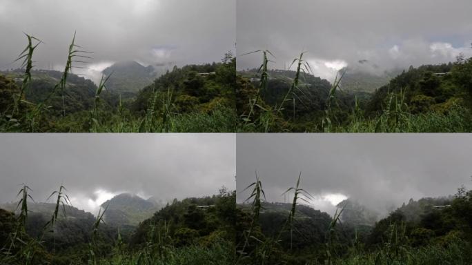 东爪哇劳乌山周围山区浓雾的延时