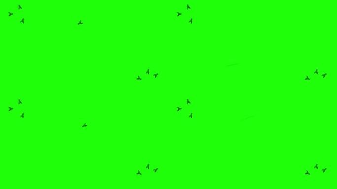 坐在墙上绿色屏幕上的苍蝇