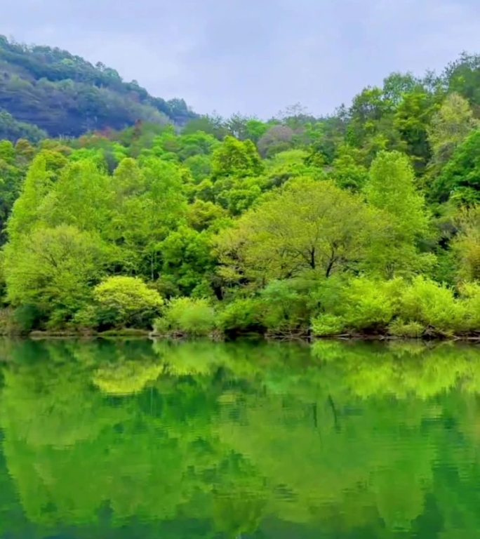 武夷山碧水蓝天奇峰美景视频素材