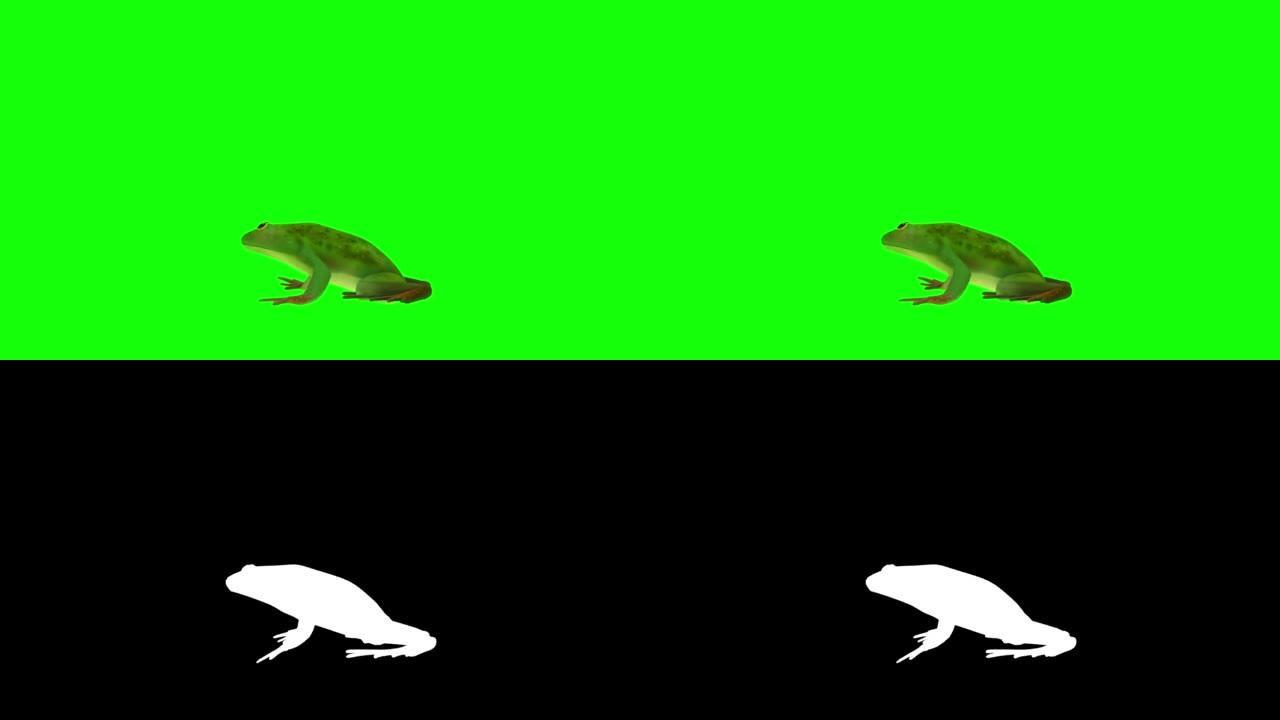 青蛙跳上绿屏4K (可循环) 股票视频