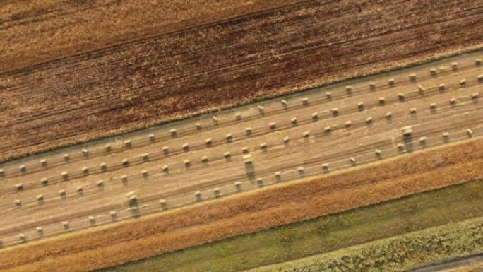 用草捆的田野鸟瞰图。田间作业，收集成熟小麦的干草和稻草。收获的农村土地。
