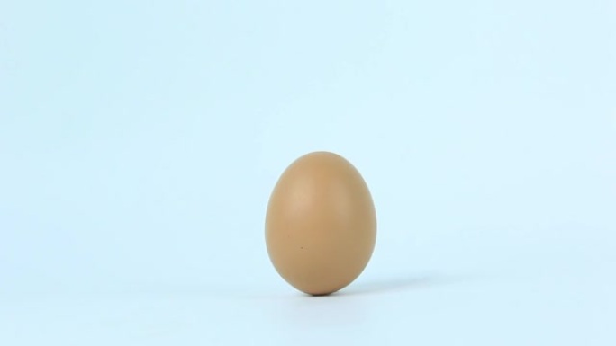 白色背景上的有机蛋