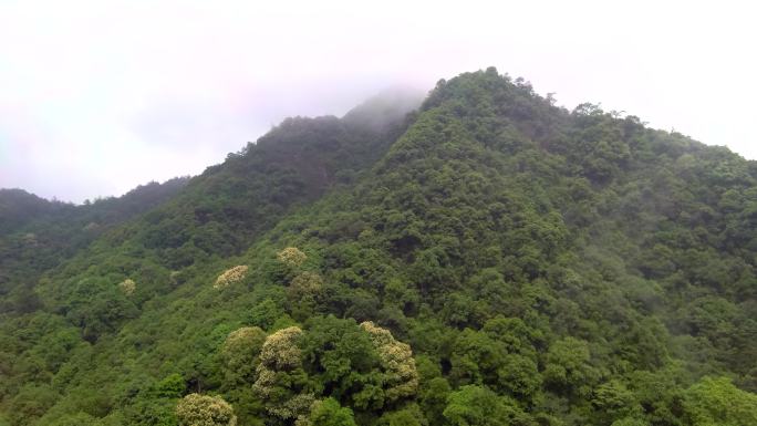 雨后的山