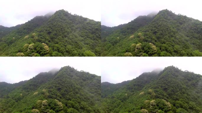 雨后的山