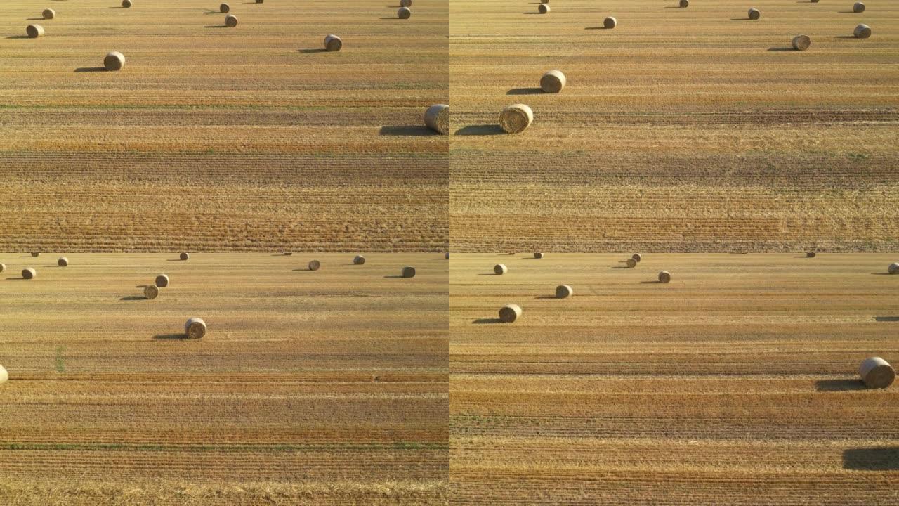 从无人机pov俯拍的麦田里碾压的干草捆